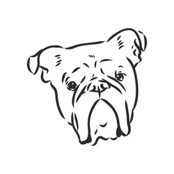 line art french bulldog with three difference Vector Image