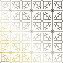 abstract geometric pattern with lines rhombuses vector image