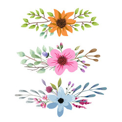Watercolor Floral Bouquet Vector Image