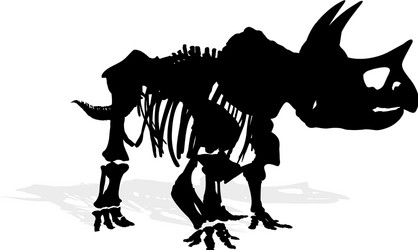 Skeleton of dinosaur vector