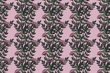 botanical abstract seamless pattern whit plant vector image