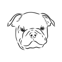 line art french bulldog with three difference Vector Image
