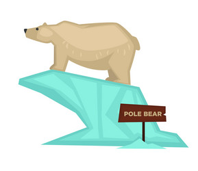 polar bear zoo animal and wooden signboard vector