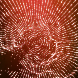 cobweb or spider web network background grid vector image