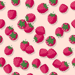 Raspberry Pattern vector image