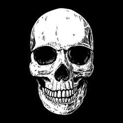 Human skull on dark background design element vector