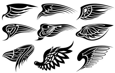 Wing Symbol Collection Vector Image