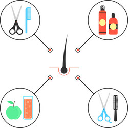 Concept of hair care with follicle in the middle vector