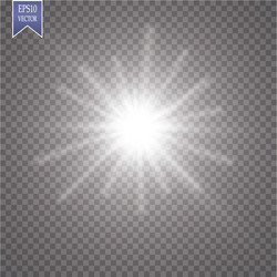 glow light effect starburst with sparkles vector image