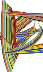 zebra pop abstract stripe pattern vector image
