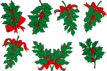 christmas greens and holly berry branches vector