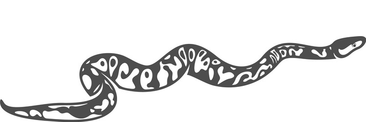 Ball Python Logo Vector Images (35)