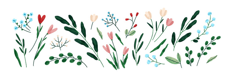 Floral Sprigs & Leaves Set Vector Image