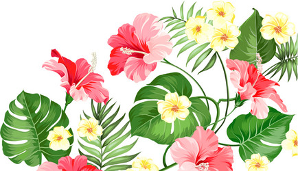 Tropical Flower Garland Vector Image