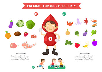 Eat right for your blood type infographic vector