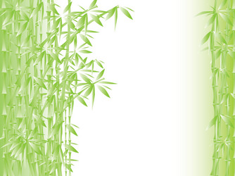 Bamboo vector