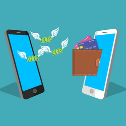 smartphone screen with wallet and credit cards vector