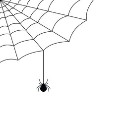 spider web with hanging corner cobweb vector