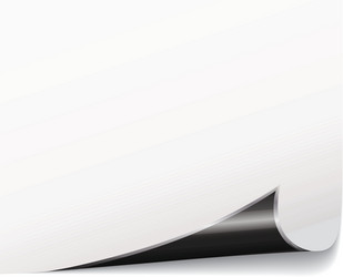 White Paper Curl vector image