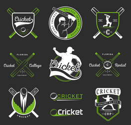 set of badges cricket vector