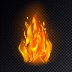 isolated fire emoji on transparent background vector
