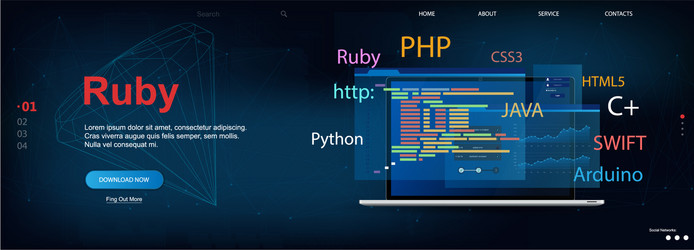 ruby programming language vector image