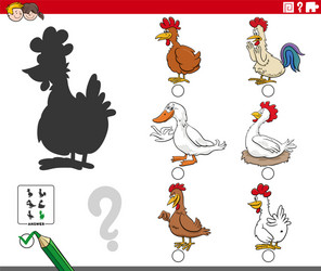 Shadows task with cartoon farm birds animal vector