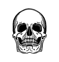 Day of the Dead Skull Print Vector Image