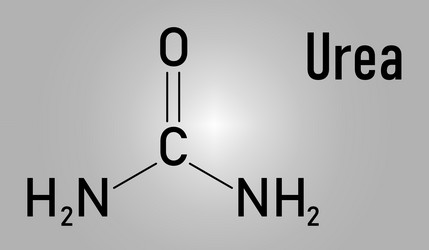 urea or carbamide molecule skeletal formula vector