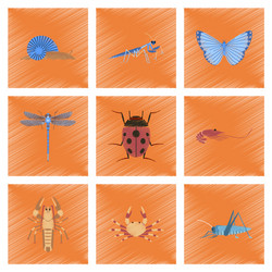 assembly flat shading style bug snail vector image