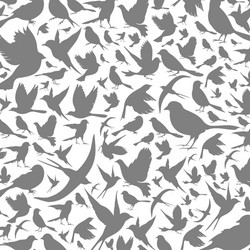 Bird Pattern Background vector image