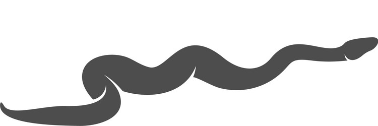 Ball Python Logo Vector Images (26)