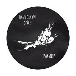 spice parsnip icon on blakboard backdrop vector image