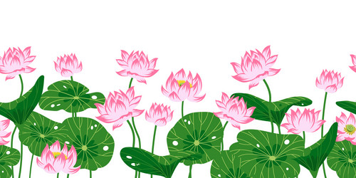 Pink Lotus Seamless Border Vector Image