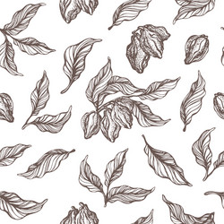 pattern cocoa sketch vector image