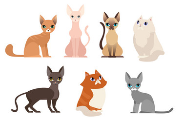 set different cat breeds vector