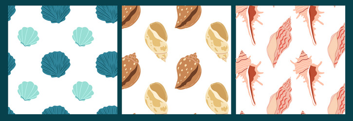 shell patterns in vibrant colors highlighting vector image