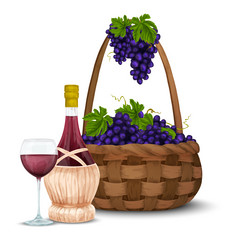 Wine grape and basket vector