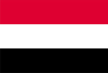 flag rectangular shape vector image