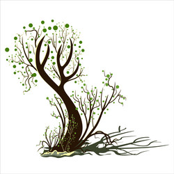Image isolated on white background tree branch vector