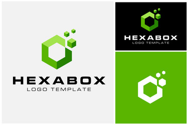 Digital data hexagon with 3d box cube pixel logo vector