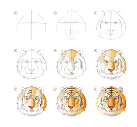 how to learn draw sketch tiger head vector image