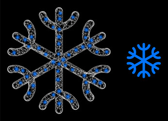 glossy net snowflake with colored lightspots vector image