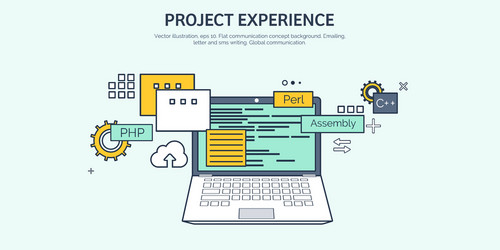 flat background coding vector image