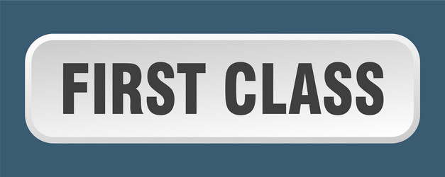 first class button square 3d push vector image