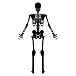 A Man Dead Body Cartoon Vector Images (over 1,000) A Man Dead Body Cartoon Vector Images (over 1,000)