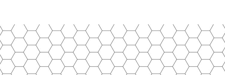 honeycomb pattern with hexagon mesh texture bee vector image