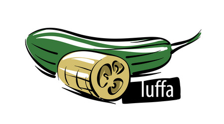 drawn luffa isolated on a white background