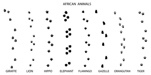Animals Footprints Vector Images (over 25,000) Animals Footprints Vector Images (over 25,000)