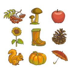 autumn or fall icon and objects set for design vector image